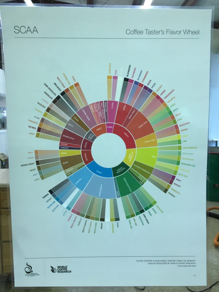 coffee_tasters_flavor_wheel